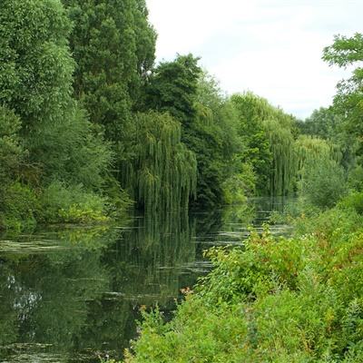 火狐体育APP体育手机app下载